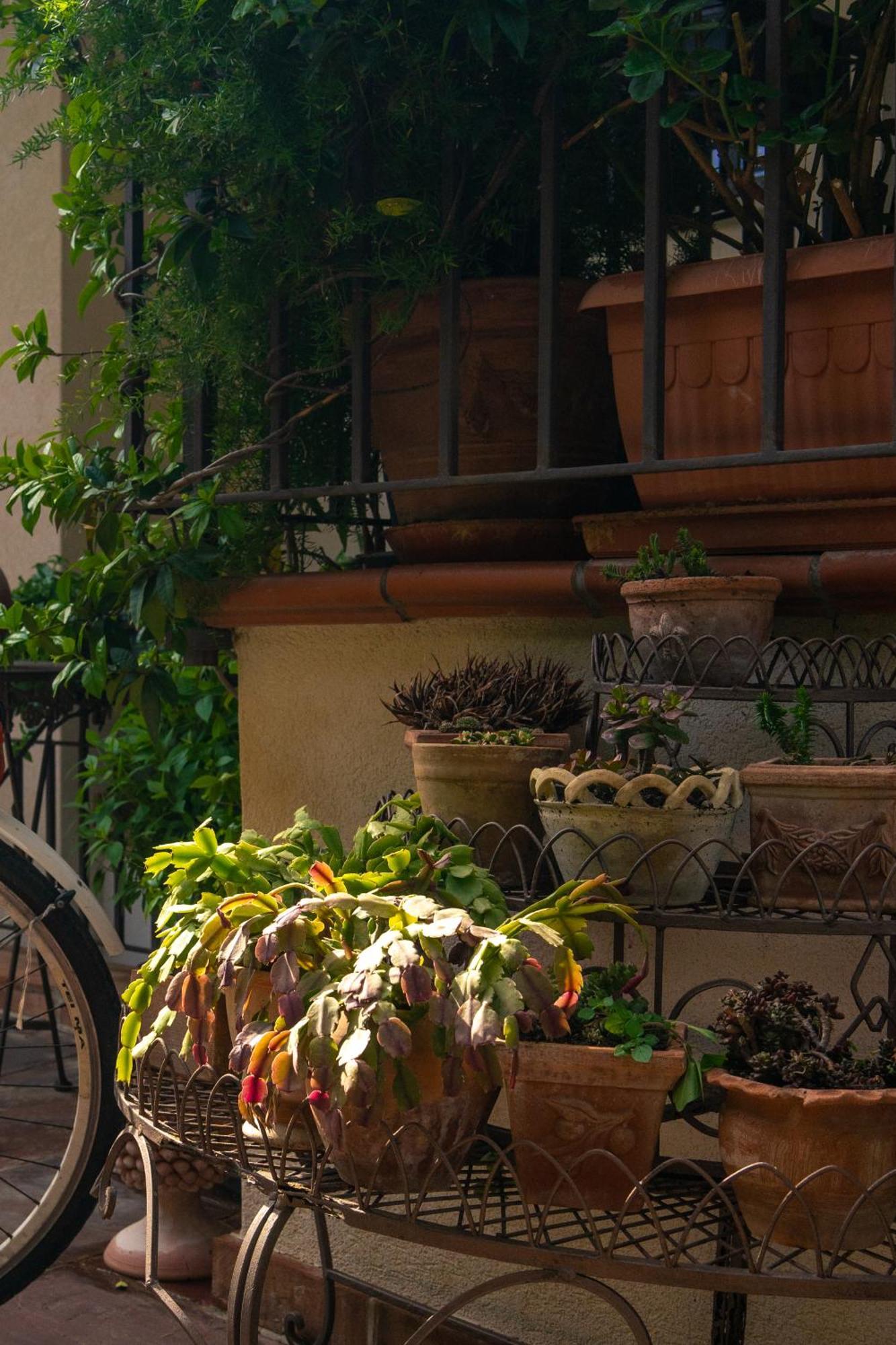 Guest House Antichi Ulivi Mondello Ngoại thất bức ảnh